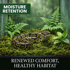 Sukh Sphagnum Moss para reptiles en terrario con refugio suave
