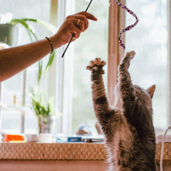 Sumind cinta tejida para gato, variedad de juego y diversión.