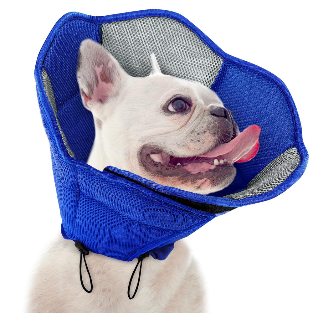 SUNFURA cono suave para perros tras cirugía: protección suave y comodidad durante la recuperación.