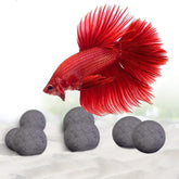 SunGrow Betta Balls: pack 10 bolas con más de 30 elementos beneficiosos para bettas