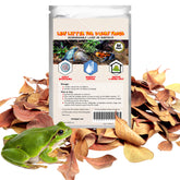 SunGrow Hojas Catappa mini para acuario, 50 unidades listas para sustrato
