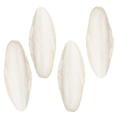 SunGrow hueso de sepia grande 15 cm en jaula mejora la salud ósea de las aves