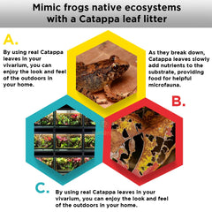 SunGrow microfauna en sustrato, favoreciendo ranas y fuente de alimento.