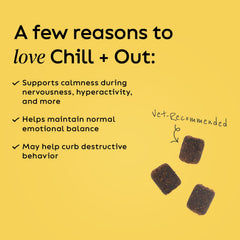 Chill + Out: cuatro ingredientes activos para la relajación del sistema nervioso