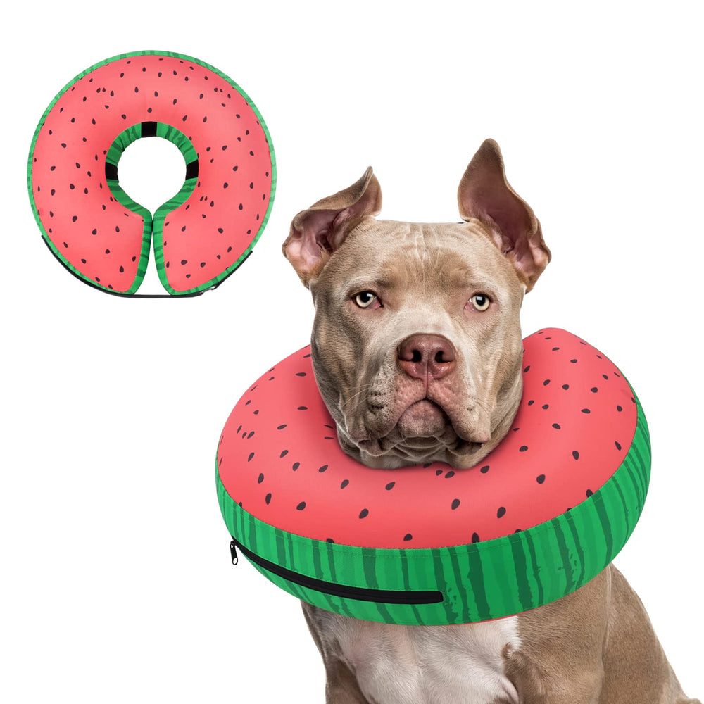 Supet collar anillo inflable para perro, ideal postoperatorio que evita lamidas.