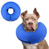 Supet collar inflable donut para perro descansando tras cirugía, protección de la zona operada.