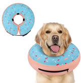 Supet collar inflable dona puesto en perro, evita lamidos de la herida postoperatoria.
