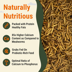 Supreme Grubs: proteína alta para plumaje brillante y sano.