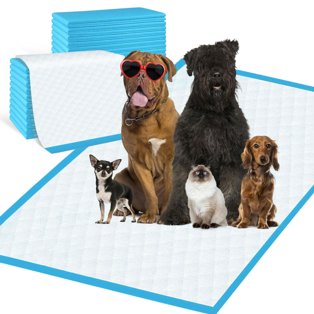 SUPRONLOVE almohadillas de entrenamiento extragrandes 31x55, ideal para entrenar y proteger el suelo.