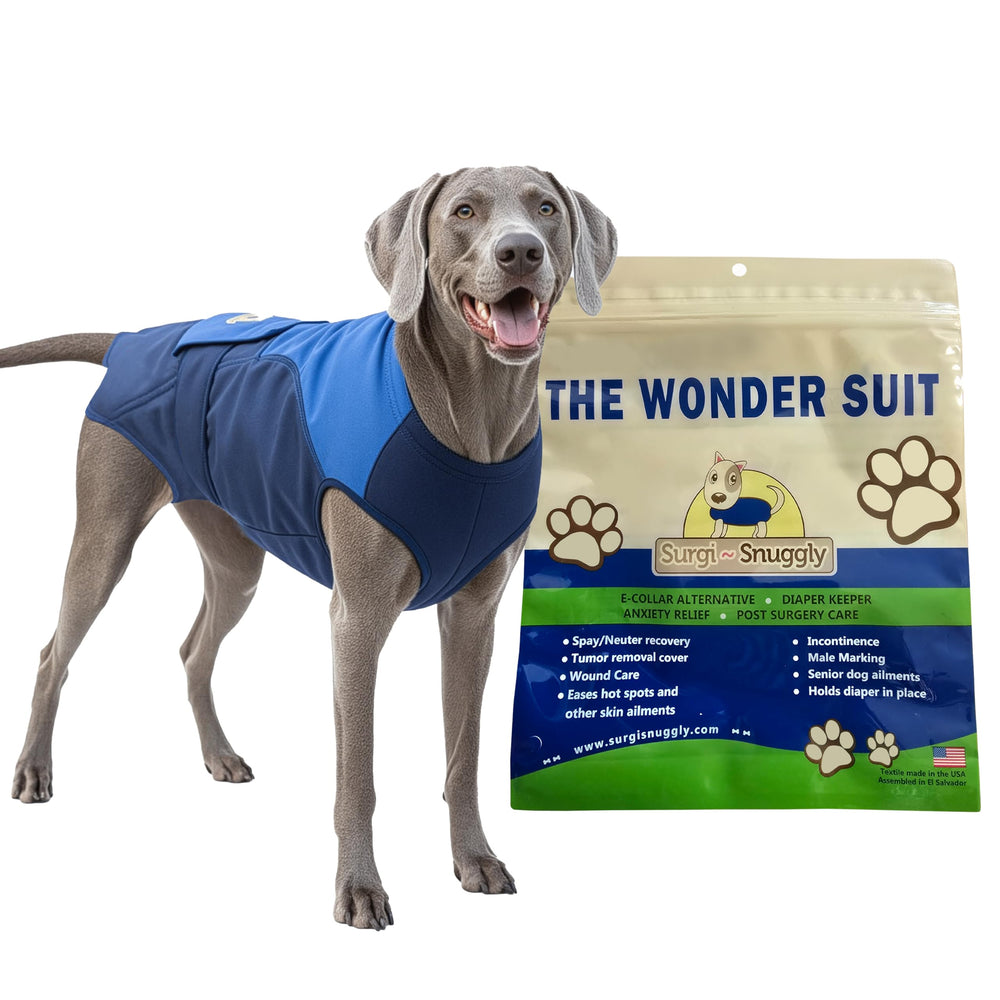 SurgiSnuggly cubre pañales para perro macho, ajuste cómodo para uso diario.