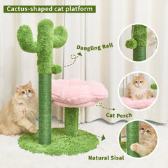 Suudroeen bola colgante-juego-gato: entretenimiento interactivo para gatos.