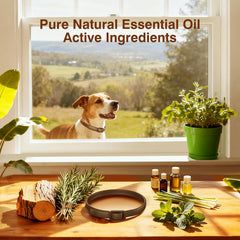 SweetEcho collar ingredientes naturales: aceites y aroma agradable.