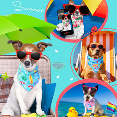 Bandanas Sweetude con sandía, diseño colorido para sesiones de fotos.