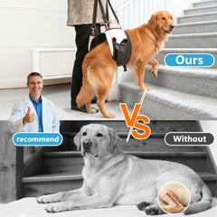 SyFatWeen mango ergonómico facilita el control durante la rehabilitación canina.