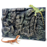 Sysmashing fondo tierra 3D para reptiles: crea un entorno natural y duradero.