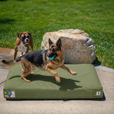 Cama Sytopia para perros impermeable de lona, ideal para uso exterior y patios.
