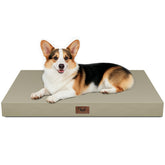 Tail Stories cama para perros grande, exterior e impermeable, ideal para jardín