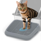 TAILRYTH rampa elevada para gatos facilita acceso cómodo para gatitos y gatos mayores.