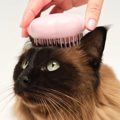 Tangle Teezer deslanado suave del pelo del gato para pelaje fino.