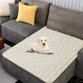 Housse imperméable Tcksstex sur canapé pour chien et chat, protection fiable des meubles.