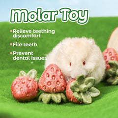 TEEWY mordedores naturales fresa para cobayas, promueven masticación segura.