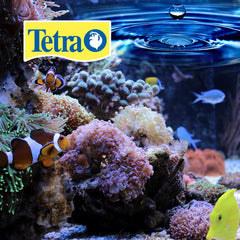 Tetra BettaSafe: agua acondicionada en acuario de peces betta.