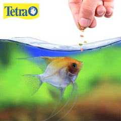 Peces tropicales lucen colores naturales y vibrantes al usar TetraColor Tropical Flakes.