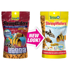 Tetra ShrimpWafers wafers hundiéndose, alimentación de fondo eficiente para peces.