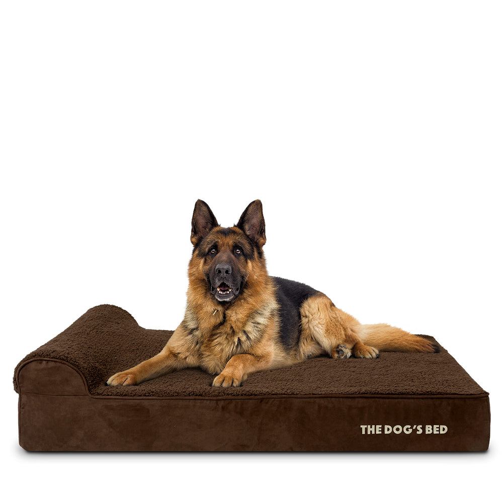 La cama ortopédica The Dog's Balls para perros grandes con espuma de memoria y soporte.