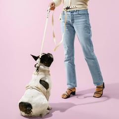 THE LICKER STORE Arlo arnés con 3 hebillas y 3 mosquetones para facilidad.