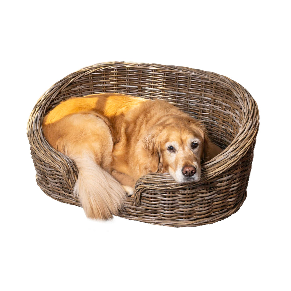 The LICKER STORE cama perro curvada de ratán gris Kubu para descanso cómodo