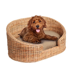 The LICKER STORE DBD1001B cama mimbre curva: confort para mascotas