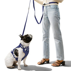 THE LICKER STORE Arlo arnés sin tirones para paseos tranquilos.