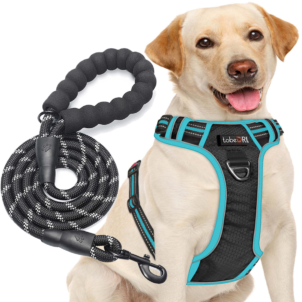 tobeDRI No Pull Harness frente: control suave y paseo seguro