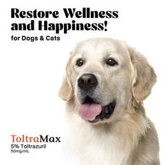 ToltraMax Toltrazuril 5.0% dosificación sencilla para caballos, perros y gatos.