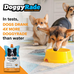 Tonisity DoggyRade envase reutilizable, ideal para paseos y viajes con tu perro.