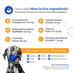 TopDog Health GlycanAid: ingredientes clave glucosamina, MSM y condroitina.