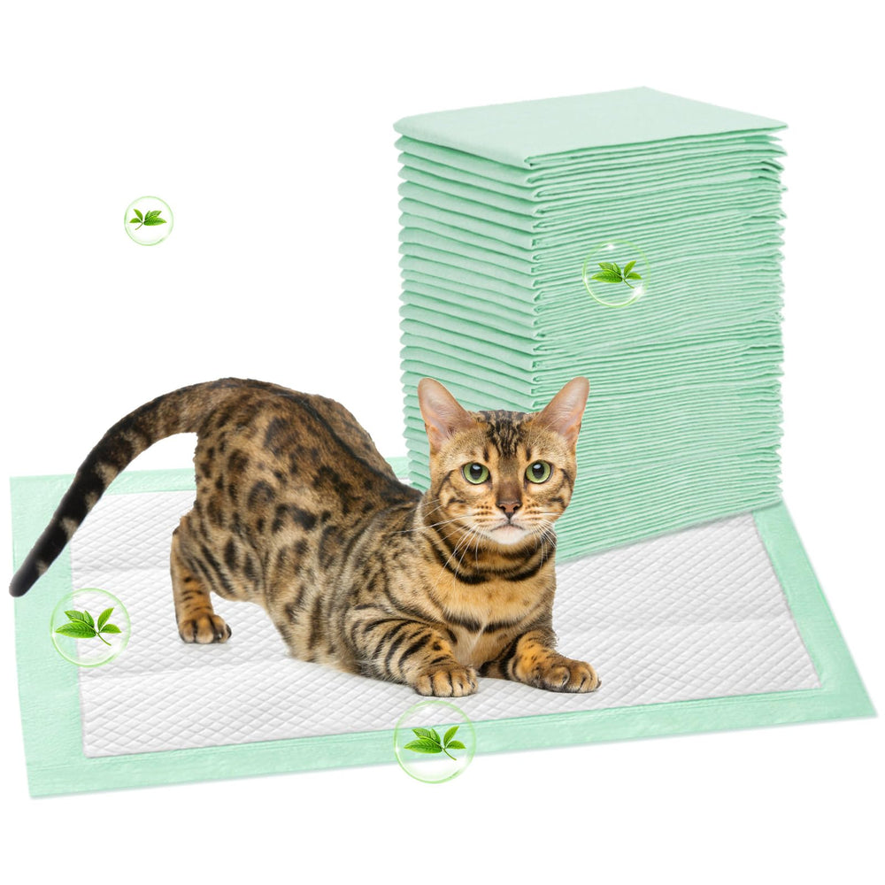La almohadilla Topfeel para gato, sistema Breeze compatibles, ajuste perfecto y uso diario.