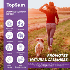 TopSum difusor calmante para perros, cabezal en primer plano y enfoque en calma