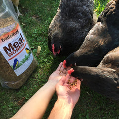 TradeKing gusanos de harina secos, alimento proteico para aves en patios y jardines