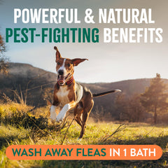 TropiClean Champú para perros, masaje cremoso, suave con la piel durante el baño.