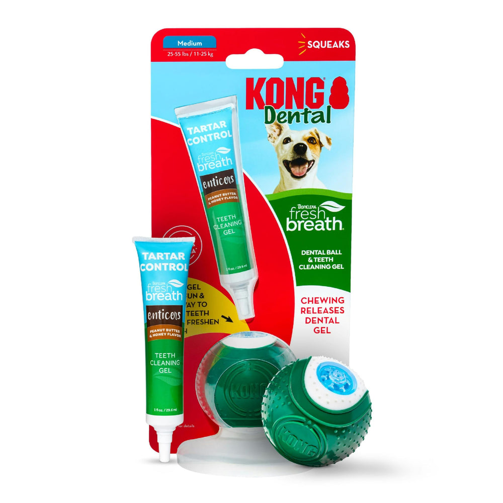 TropiClean Kong bola dental mediana libera pasta al morder para limpiar dientes