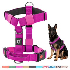 Arnés táctico TSPRO sin tirones morado para paseos controlados