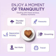 TTLXRL Calming Chews para perros, textura agradable favorece relajación diaria.