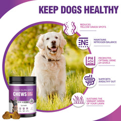 TTLXRL fórmula natural para la salud urinaria de perros.