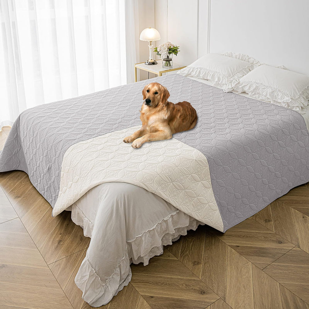 Manta impermeable Tuffeel para perros, vista general en sofá, protección de manchas y pelos.
