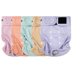 Tuiskusa pañales para perras, ajuste reutilizable y comodidad diaria sin fugas.