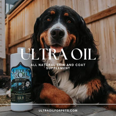 Ultra Oil apoyo articulaciones: mejora movilidad en perros y gatos.