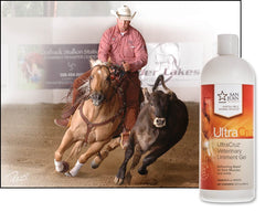 Ingredientes naturales de UltraCruz linimento gel: caléndula ajenjo y echinacea.