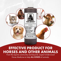 Underwood Spray para heridas: alivio seguro para lesiones en caballos y perros.